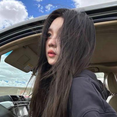陆行鲨