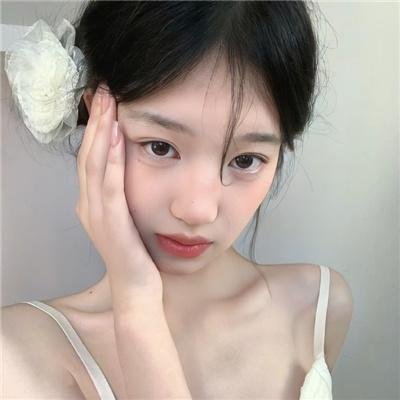 黑眉蚊
